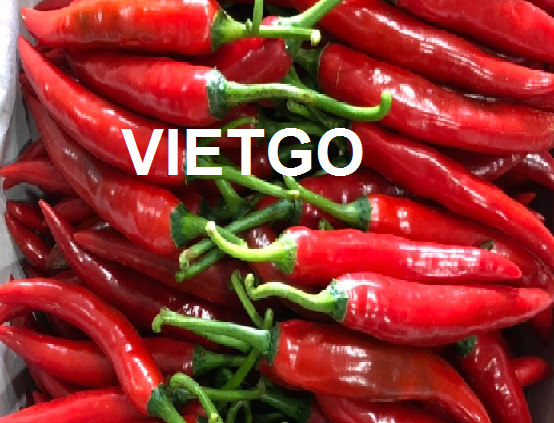 ảnh ớt xuất khẩu 